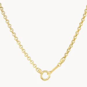 Fine Belcher Chain Necklace in Gold