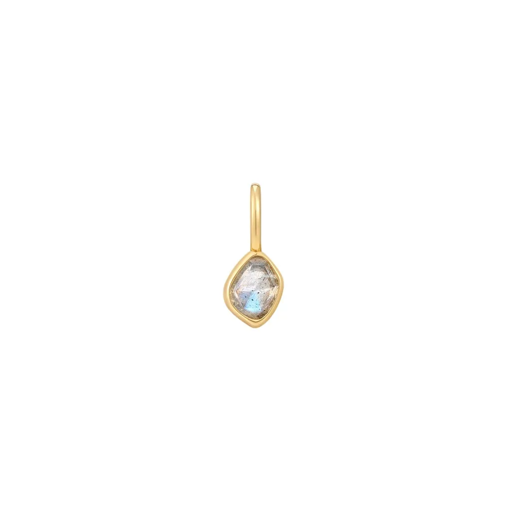 Sterling Silver & 14K Yellow Gold Plated Labradorite Charm by Ania Haie