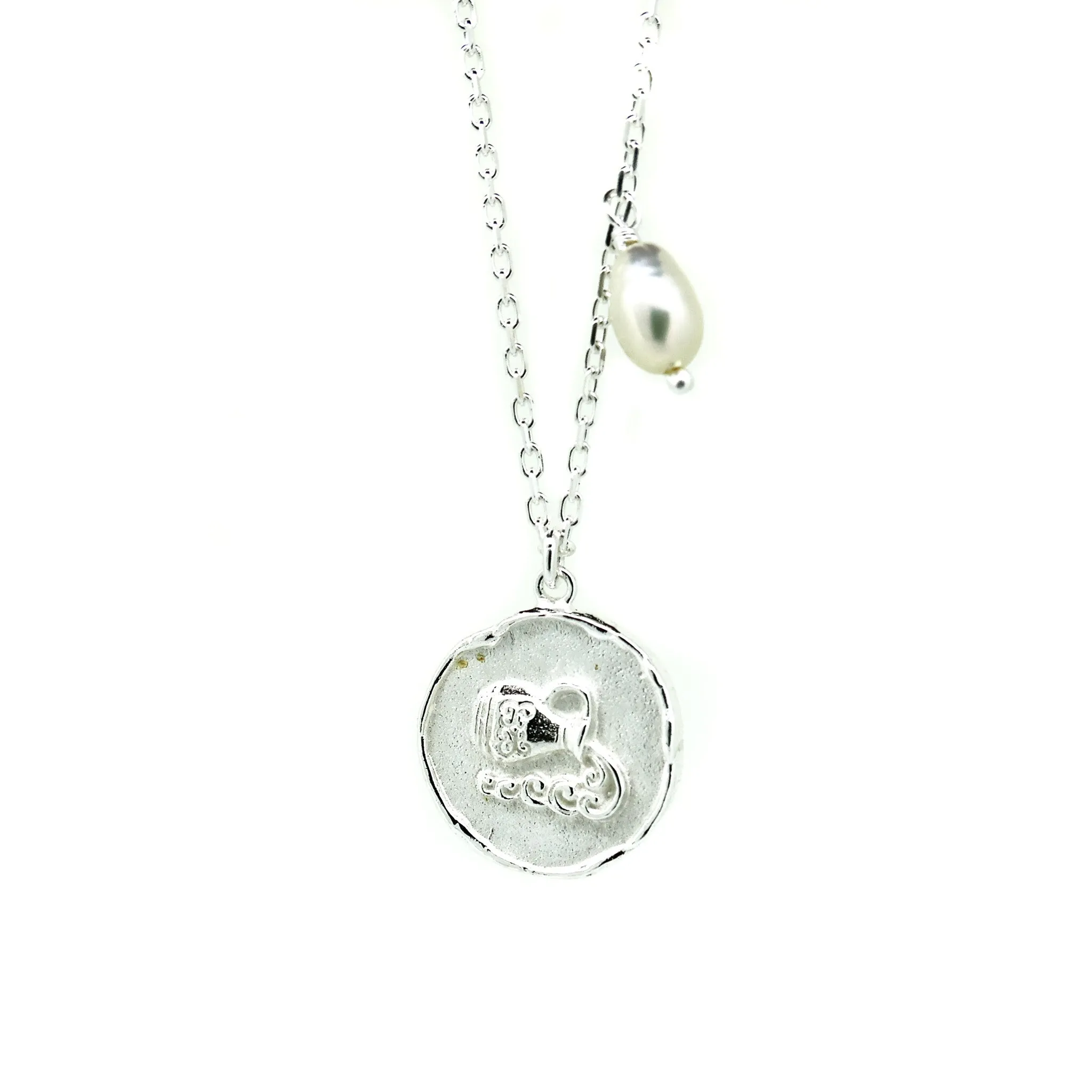 Zodiac Aquarius Necklace Silver